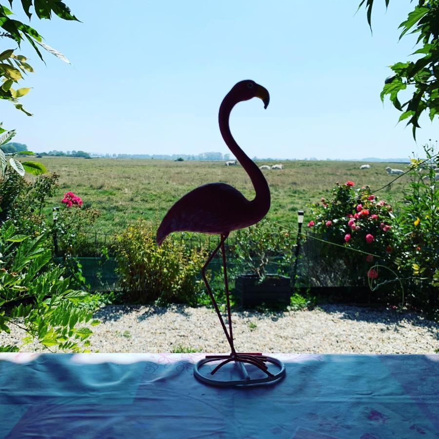 Chalet Bord De Mer 6 Couchages Villa Merville-Franceville-Plage Esterno foto